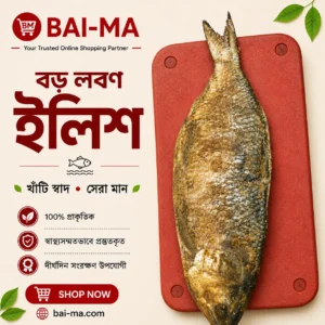 বড় লবণ ইলিশ