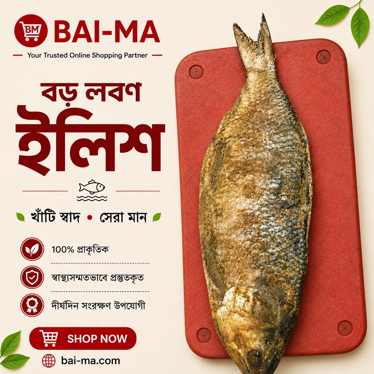 বড় লবণ ইলিশ